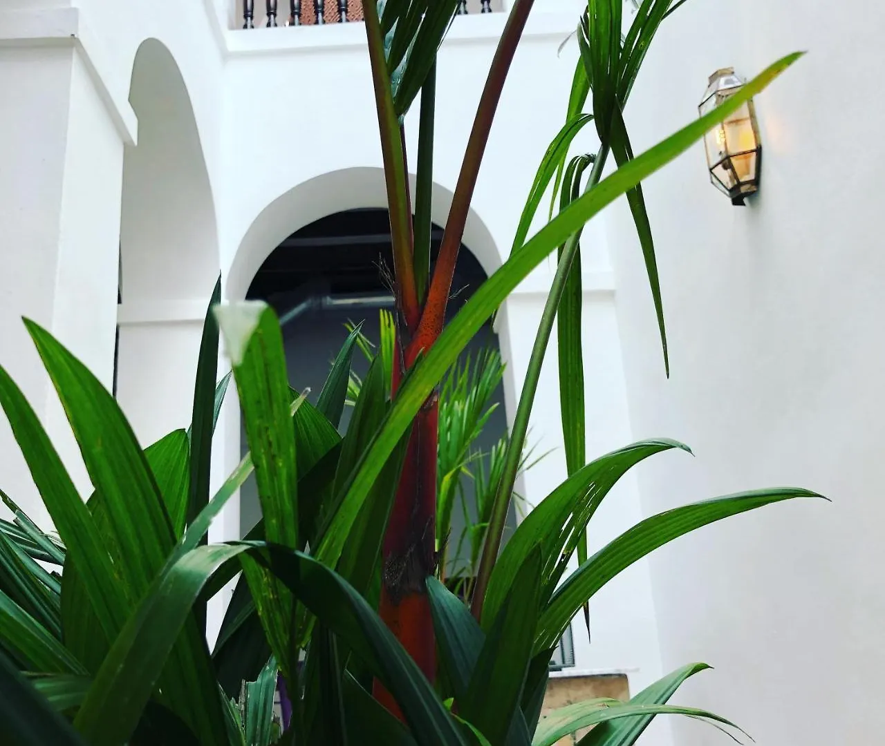 *** Kro 352 Guest House Hotel Boutique San Juan Puerto Rico